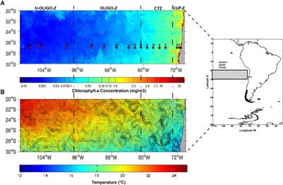 Zooplankton Taxonomic and Trophic Community Structure Across Biogeochemical Regions in the Eastern South Pacific